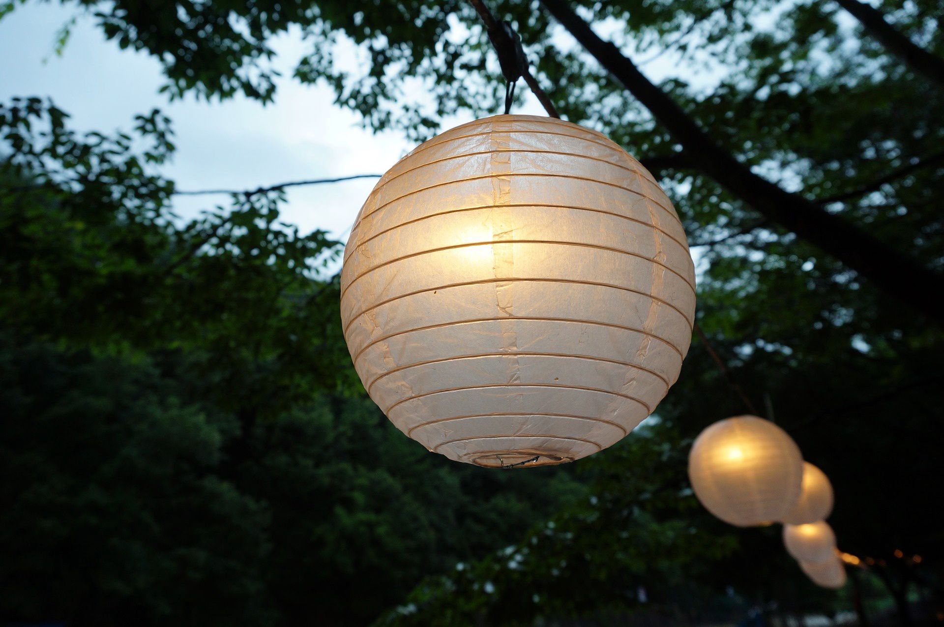 Eun jin Choi z Pixabay