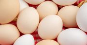 GIS ostrzega: salmonella w jajach. Sprawdź, czy masz je w lodówce!