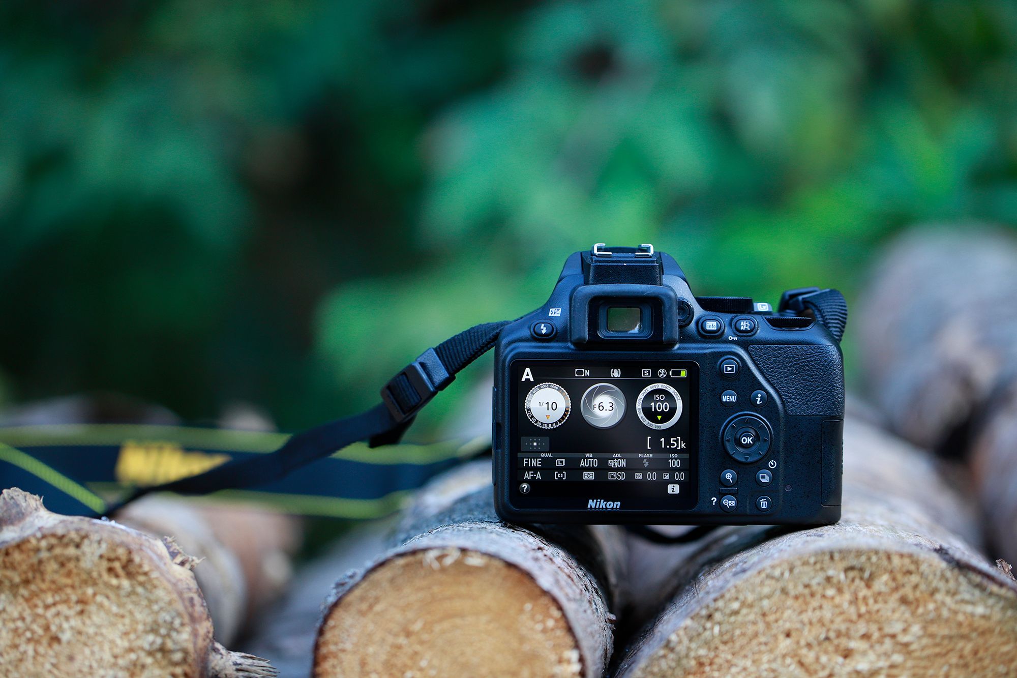 Nikon D3500 pomoże ci uchwycić najważniejsze momenty w życiu [test] 3