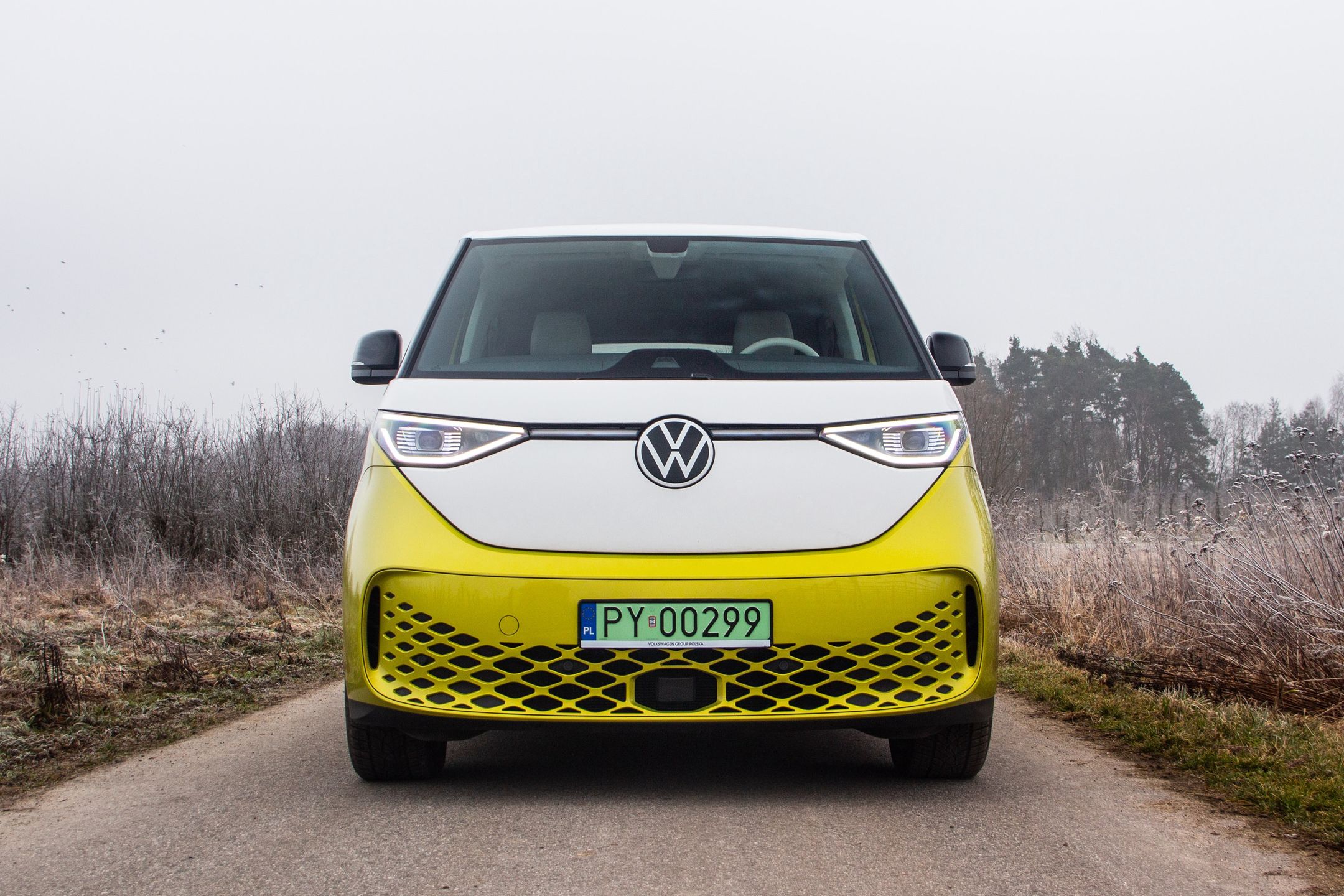 Volkswagen ID. Buzz