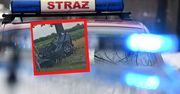 Auto wjechało w drzewo. Nie żyją dwie osoby