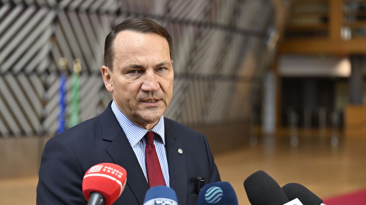 Rados�aw Sikorski
Wiktor D�bkowski
obrady, polityka, posiedzenie, przewodnictwo w Radzie UE, Rada ds. zagranicznych, UE, Unia Europejska, konferencja kpnferencji prasowa praowej, w brukseli