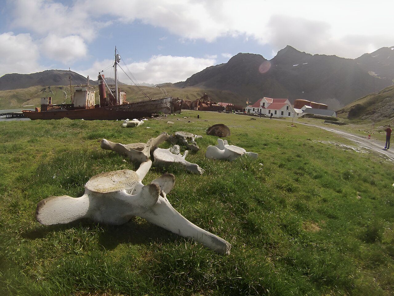 Bones found at the beach. Scientists have examined its DNA and have devastating conclusions