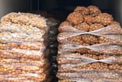 Sosnowiec. Kiełbasa wyborcza? Nie, to ziemniaki z akcji charytatywnej