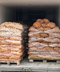 Sosnowiec. Kiełbasa wyborcza? Nie, to ziemniaki z akcji charytatywnej