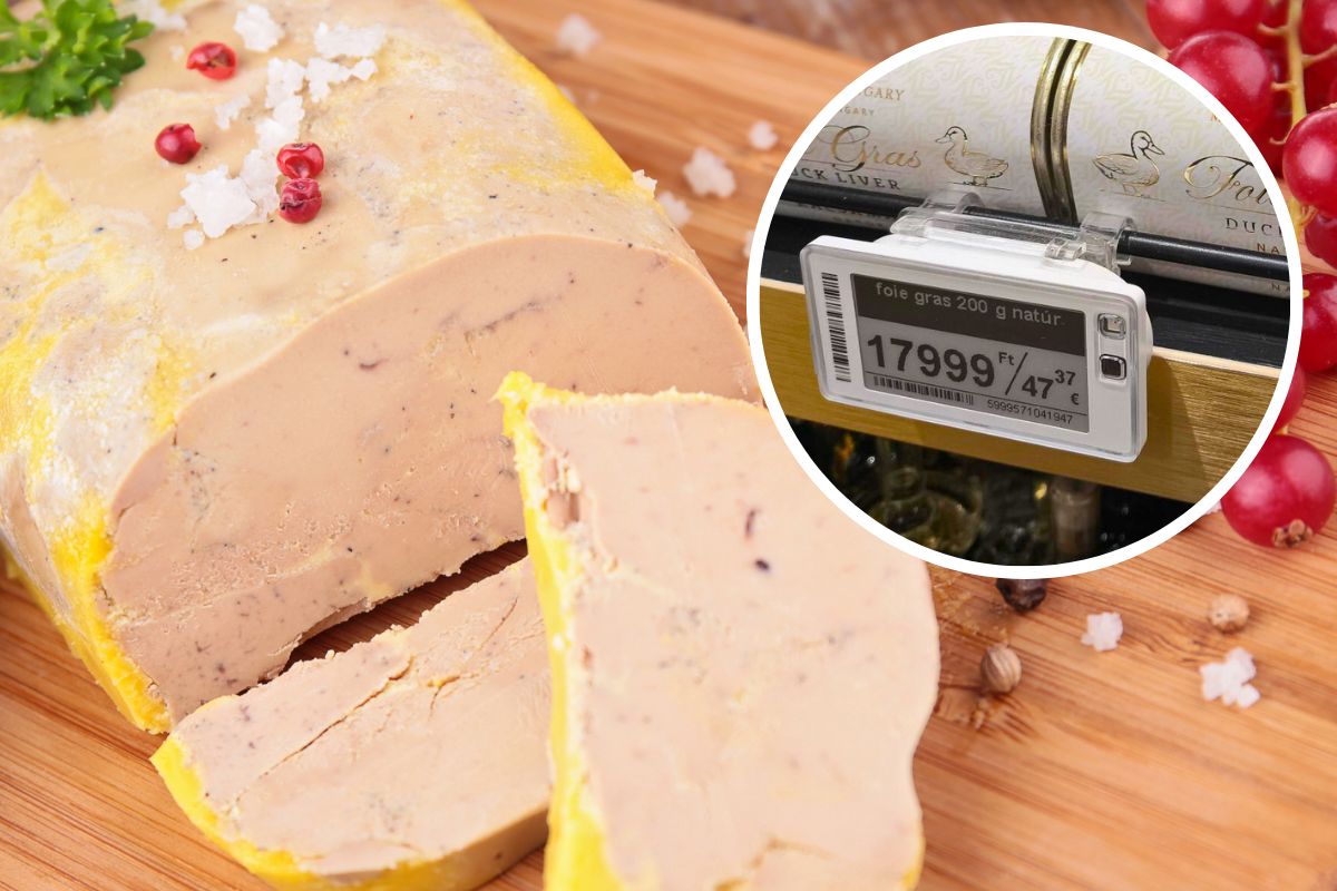 Foie gras to luksusowy, ale kontrowersyjny przysmak