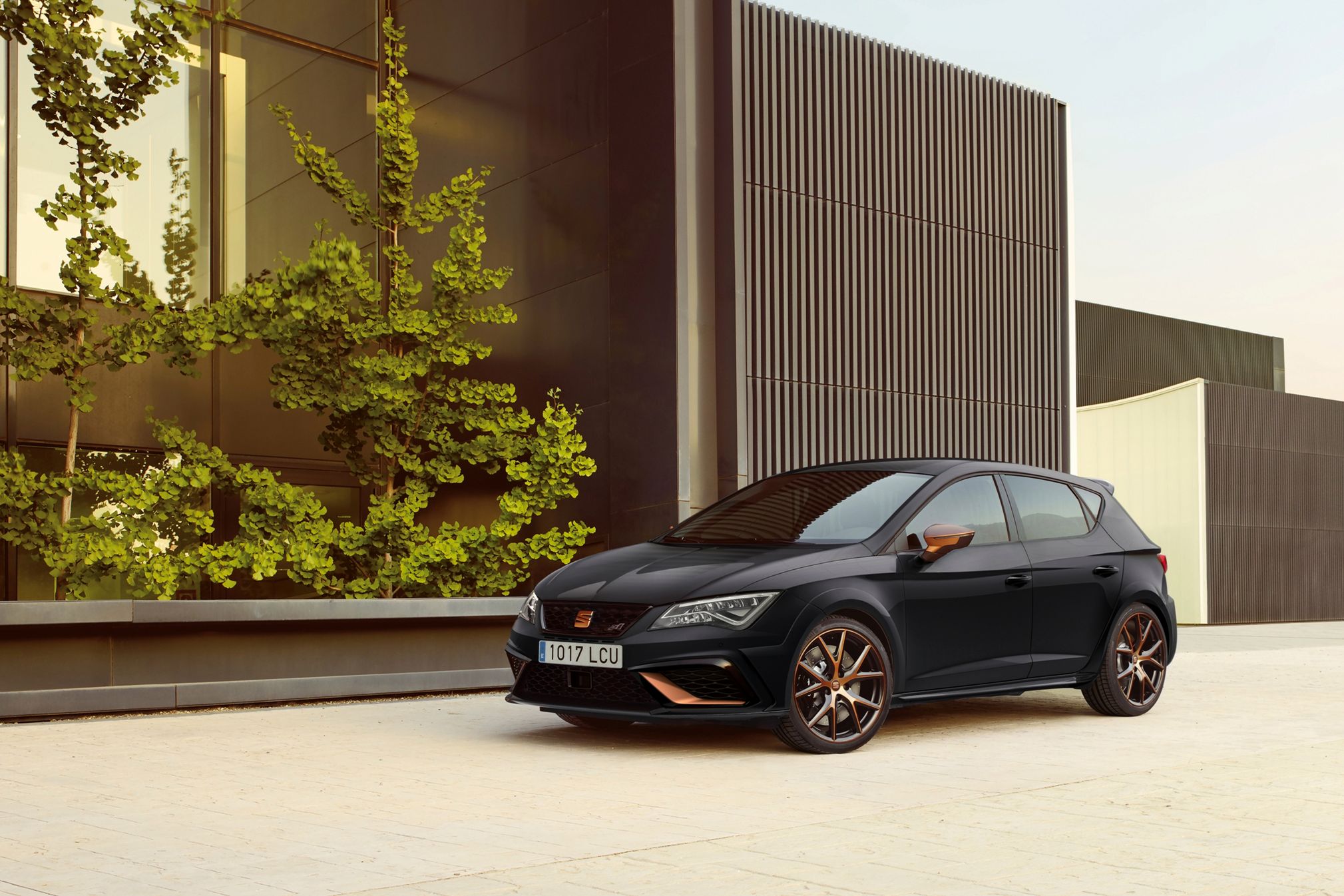 Seat Leon Cupra R