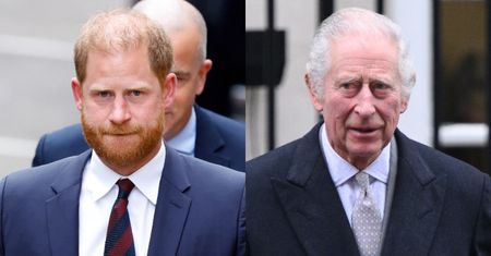 Król Karol III ma dość PSIOCZENIA księcia Harry'ego na rodzinę! "Jest SFRUSTROWANY i zasmucony"