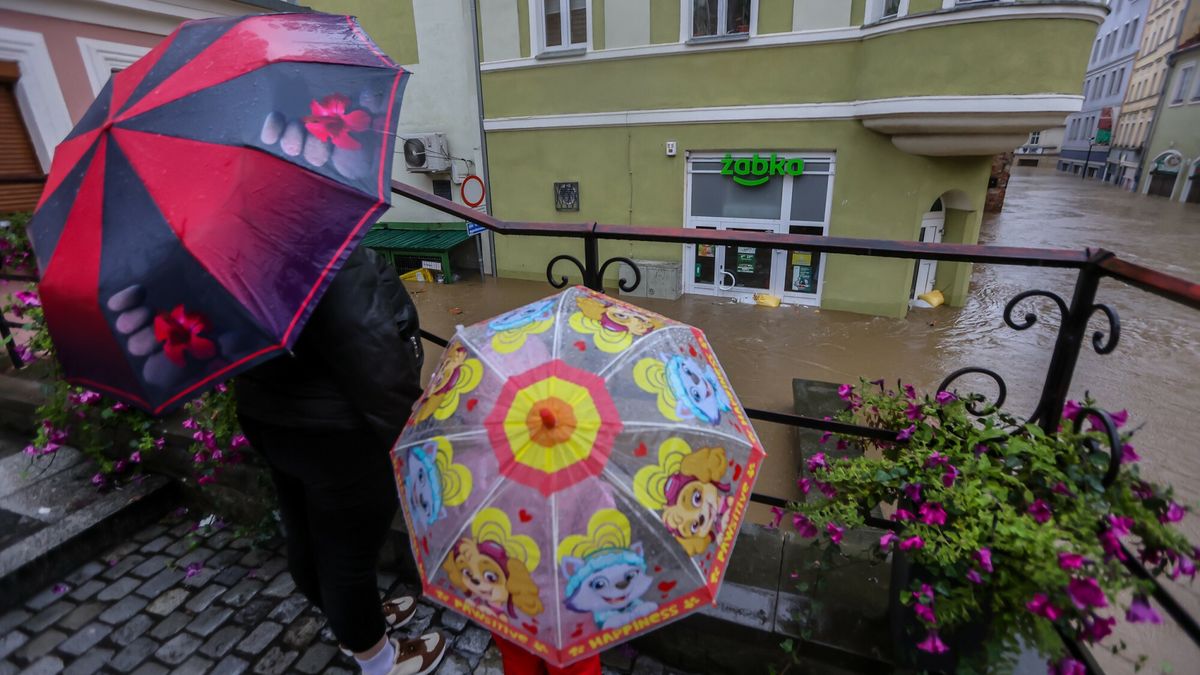 Żabka w Lądku Zdroju