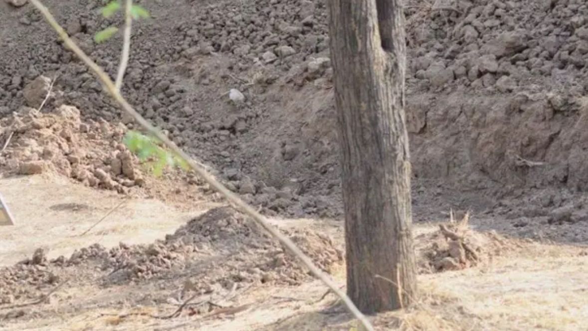 Na tym zdjęciu ukrył się lampart 