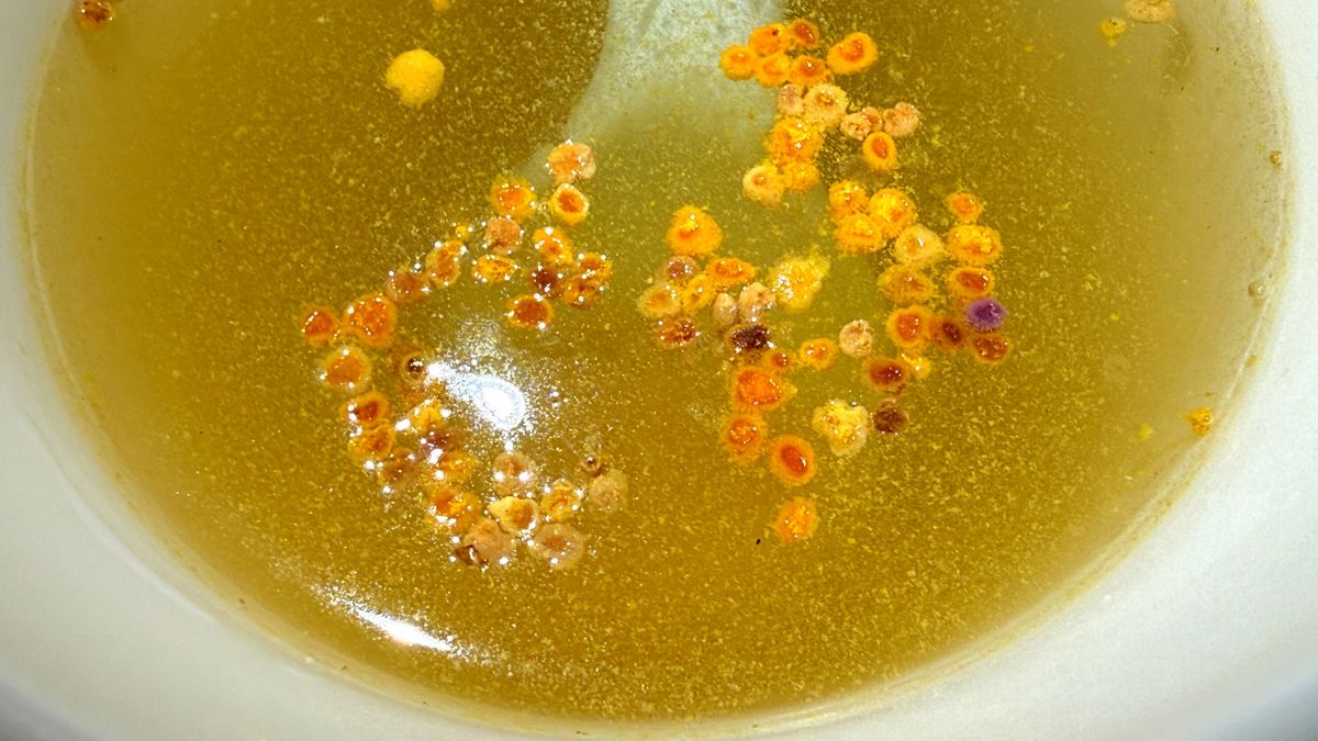 Napój z pyłkiem pszczelim na wzmocnienie odporności i serca