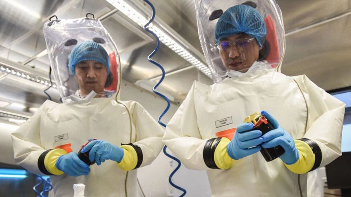 W liście otwartym grupa 26 naukowców wezwała w czwartek do nowego międzynarodowego dochodzenia. 