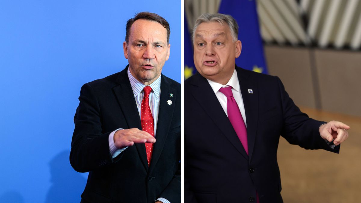 Radosław Sikorski, Viktor Orban