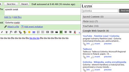 Lizzer - podręczna wyszukiwarka 1