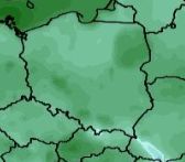 Kolejna noc przyniesie przymrozki w wielu częściach kraju