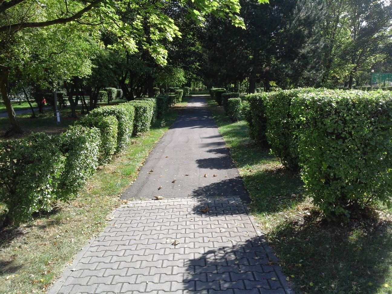 Samsung Galaxy J1 - test i recenzja smartfona za mniej niż 400 zł 43