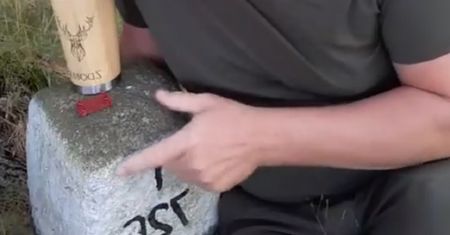 Grzybiarzu, zgubiłeś się w lesie? Te kamienie rozwiążą problem