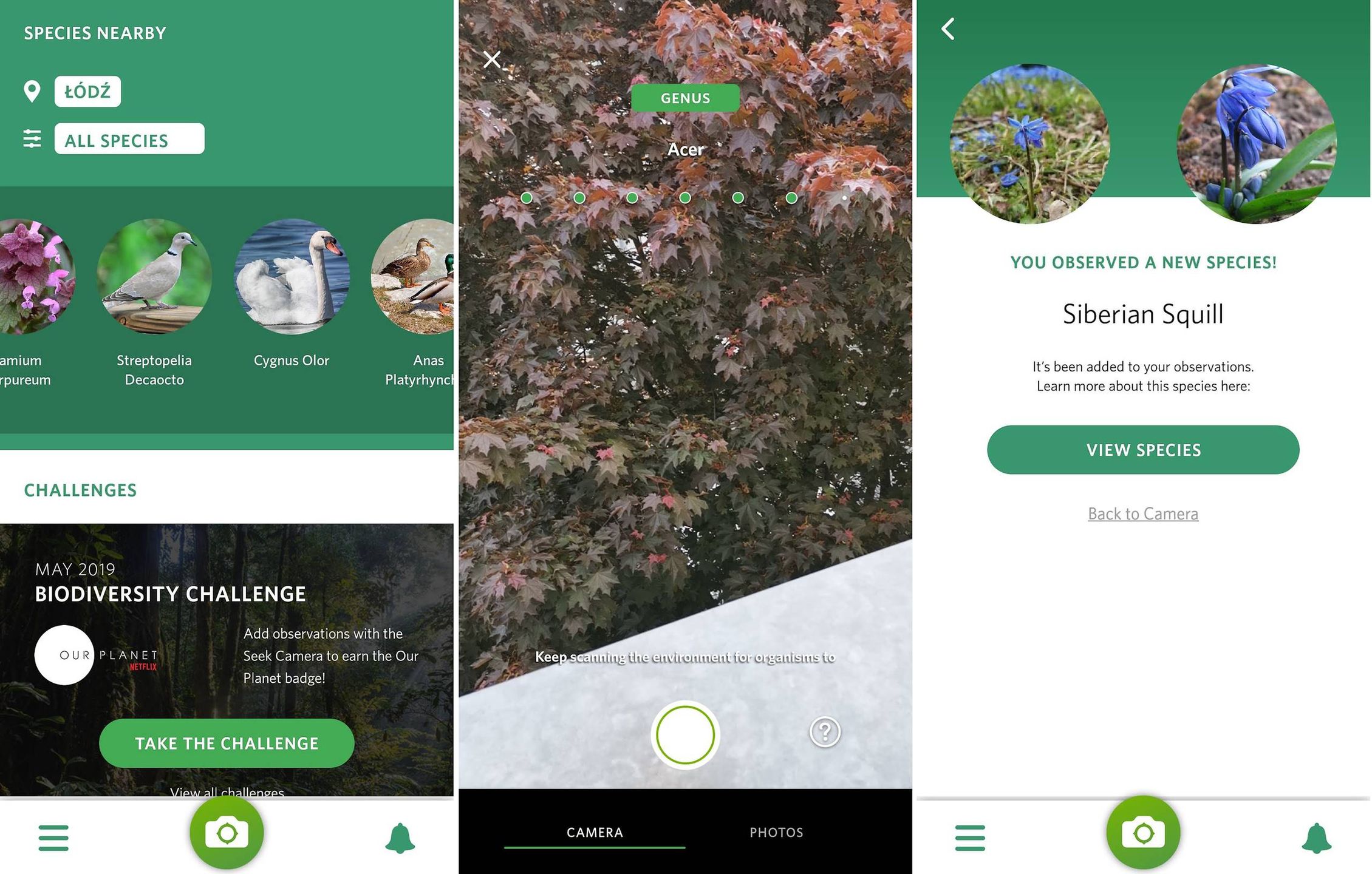 Aplikacja Seek to idealny kompan fotografa przyrody 2