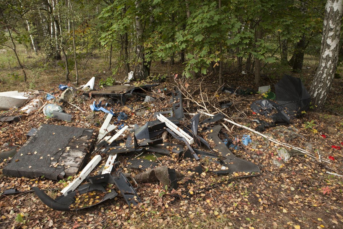 Polskie lasy toną w śmieciach (zdjęcie ilustracyjne)