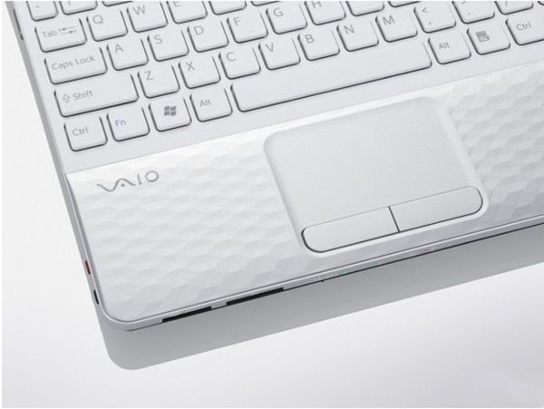 Sony Vaio EJ