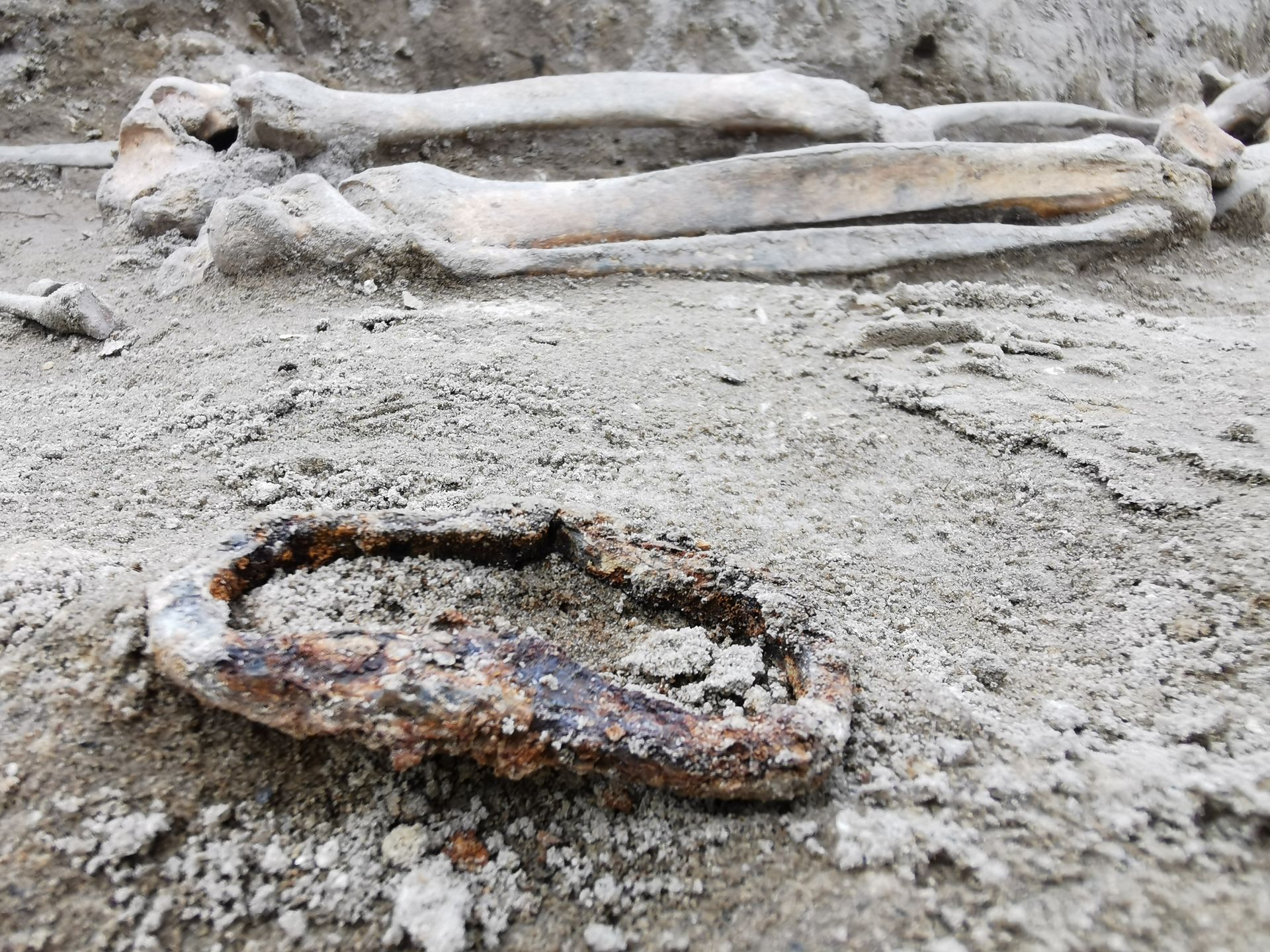 Odkrycie archeologiczne w Lelowie