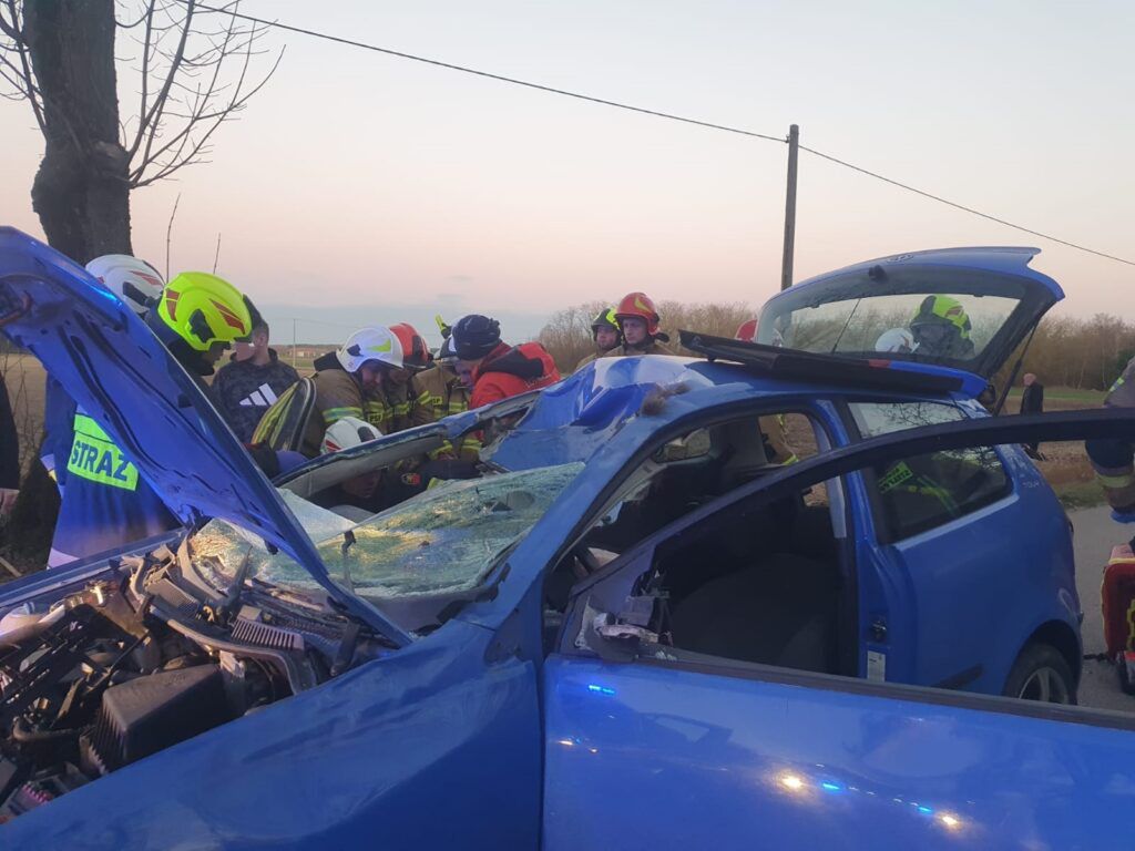 Łoś wbiegł na drogę, został potrącony. Ranna została jedna osoba z auta