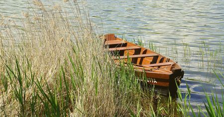 Płoty rosną jak na drożdżach. Mazury mają problem