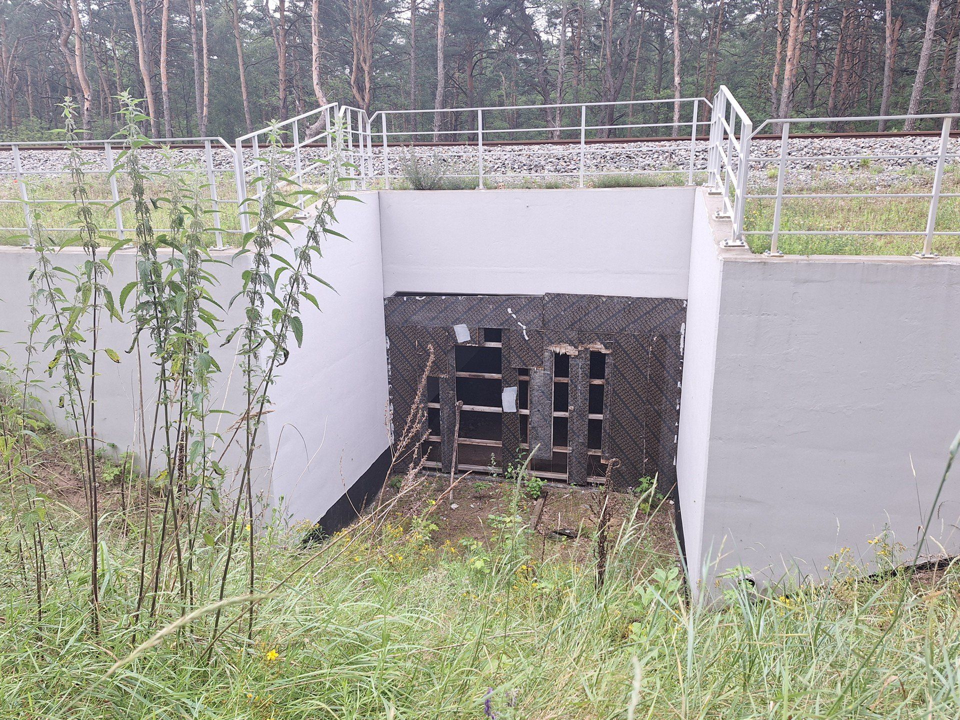 Przystanek kolejowy Toruń Katarzynka i jego otoczenie