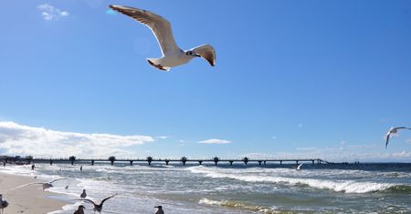 Nowe zasady na bałtyckiej plaży. Za złamanie grozi wysoka grzywna
