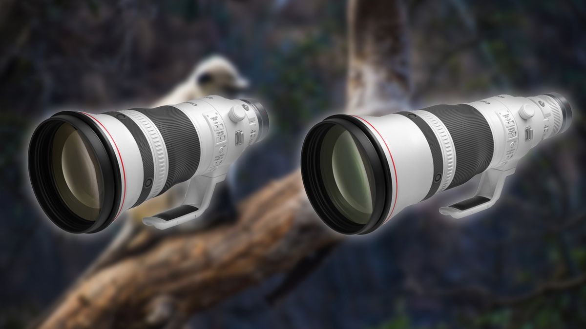 Canon RF 400 mm f/2.8 oraz 600 mm f/4. Nowe armaty nadchodzą 1