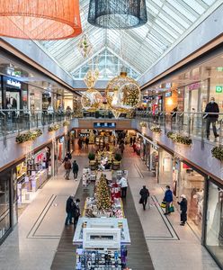 Szukają pracowników na okres świąteczny. W tych branżach ofert jest najwięcej