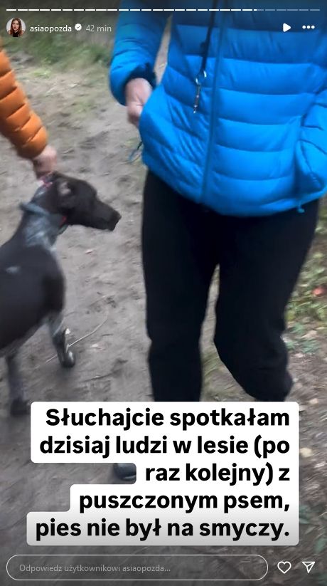 Joanna Opozda apeluje do właścicieli psów