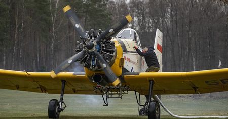 Groźny motyl niszczy lasy. Na pomoc ruszają samoloty