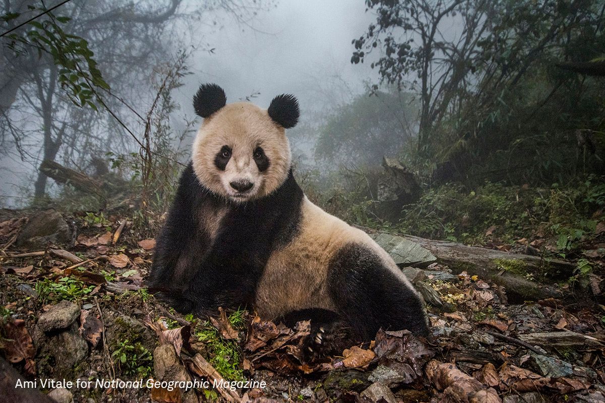 Z konkursu World Press Photo usunięto kategorię "Życie codzienne". W jakim kierunku zmierza konkurs? 3
