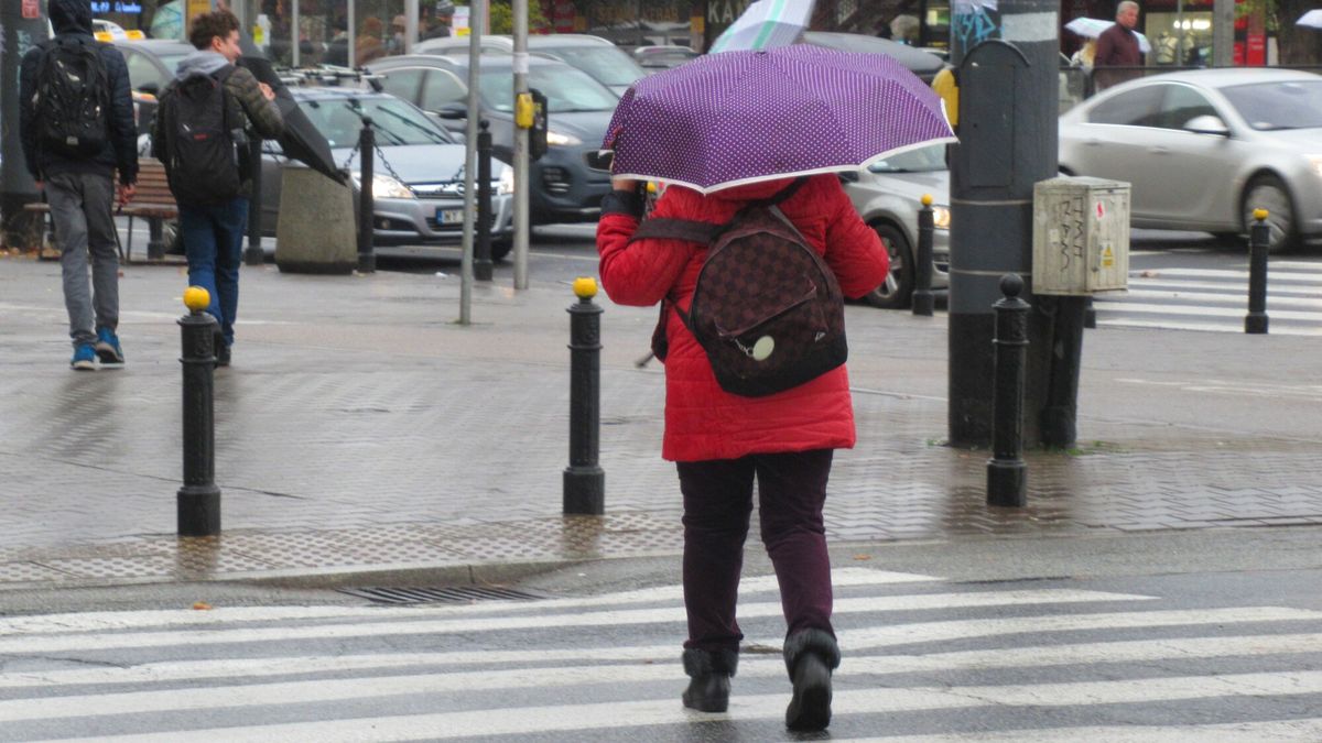 Stock Marek Bazak
Fot. Zofia i Marek Bazak/East News,
Warszawa N/Z Jesienne deszczowa pogoda, ludzie z parasolami.
ZOFIA BAZAK