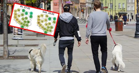 Eksplozja wiosny na koniec lutego. Są najnowsze prognozy