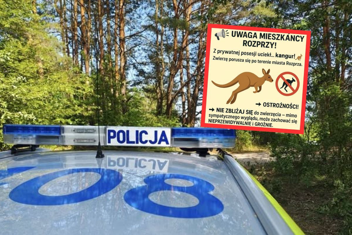 Nietypowe ogłoszenie w Łódzkiem. "Nie zbliżaj się"