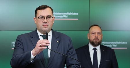 Zakażony dzik podrzucony? Będzie śledztwo w tej sprawie