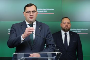 Zakażony dzik podrzucony. Będzie śledztwo w tej sprawie