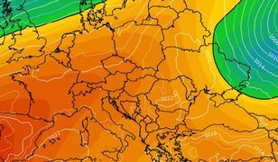 Pogoda. Do połowy tygodnia słońce. Później zmiana