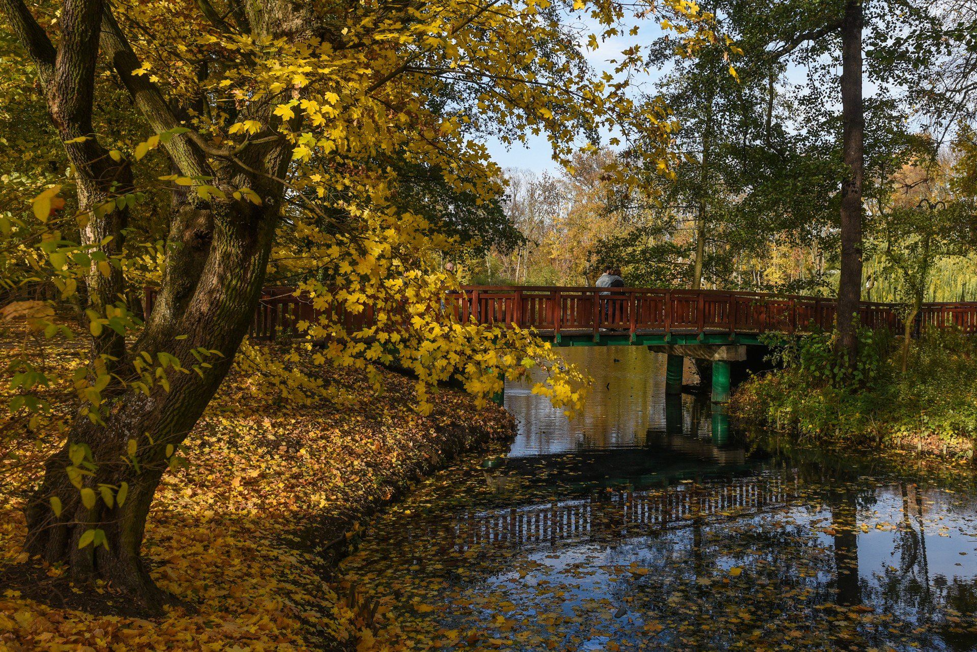Park Sołacki