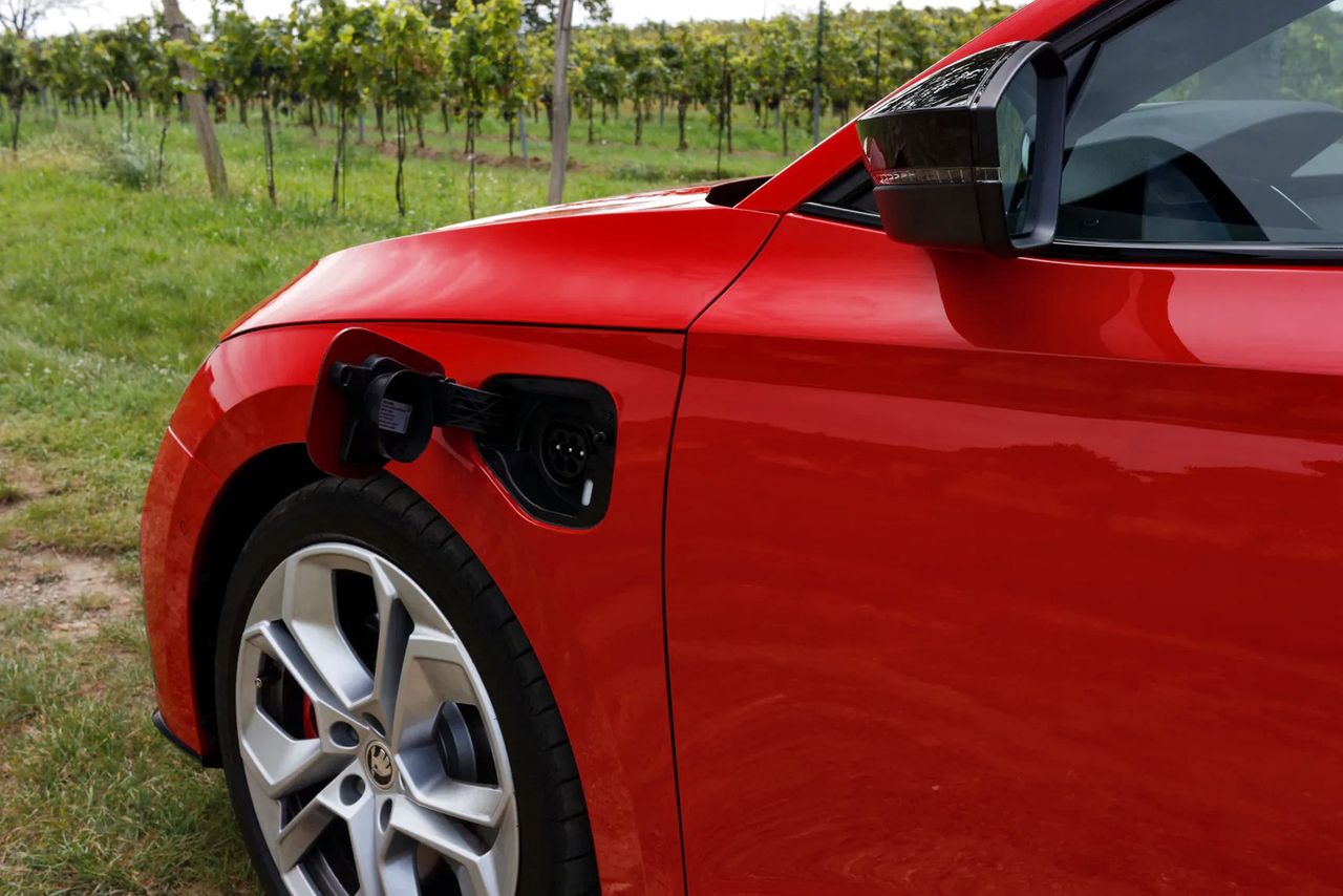 Zmiany w leasingu od 1 stycznia 2026 r. Przedsiębiorcy stracą, przyroda nie zyska