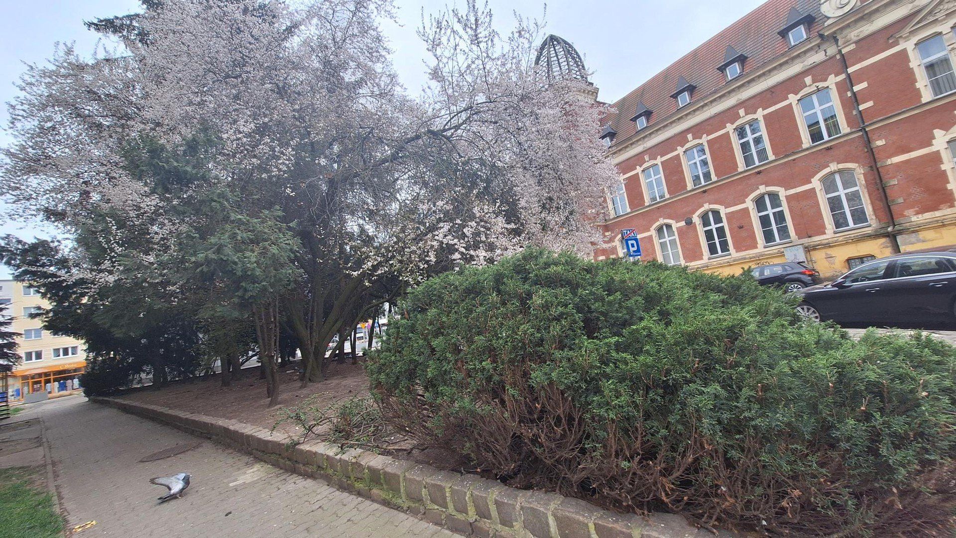 Skwer przy ul. Pocztowej niebawem będzie już parkiem kieszonkowym.