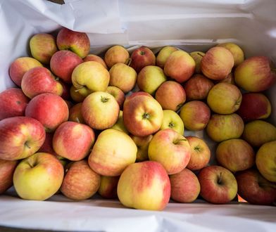 Niemieckie owoce tańsze niż polskie. Znamy różnicę w cenie