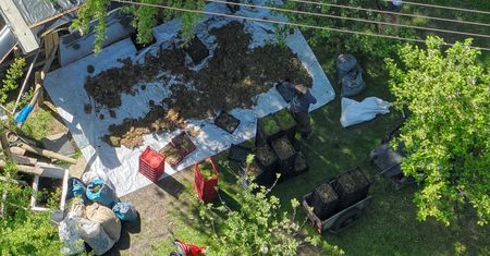 Złapany na gorącym uczynku. Oto, co kradł z lasu. Zgromadził ich kilka worków