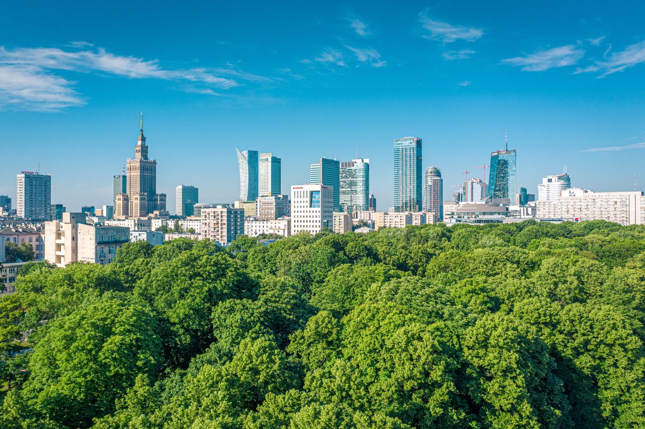 Zielone otuliny miast. To koncepcja lasów społecznych wokół Bydgoszczy
