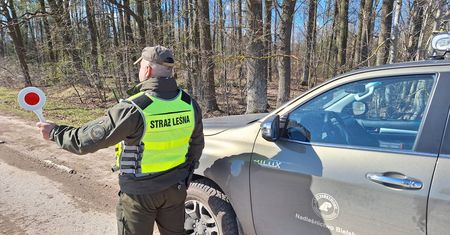 Nie tylko policja. Rusza wielka akcja, będą zatrzymywać kierowców