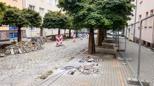 Poznań: Nowa zieleń na Łazarzu. Ulica Chłodna przechodzi metamorfozę