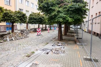 Poznań: Nowa zieleń na Łazarzu. Ulica Chłodna przechodzi metamorfozę