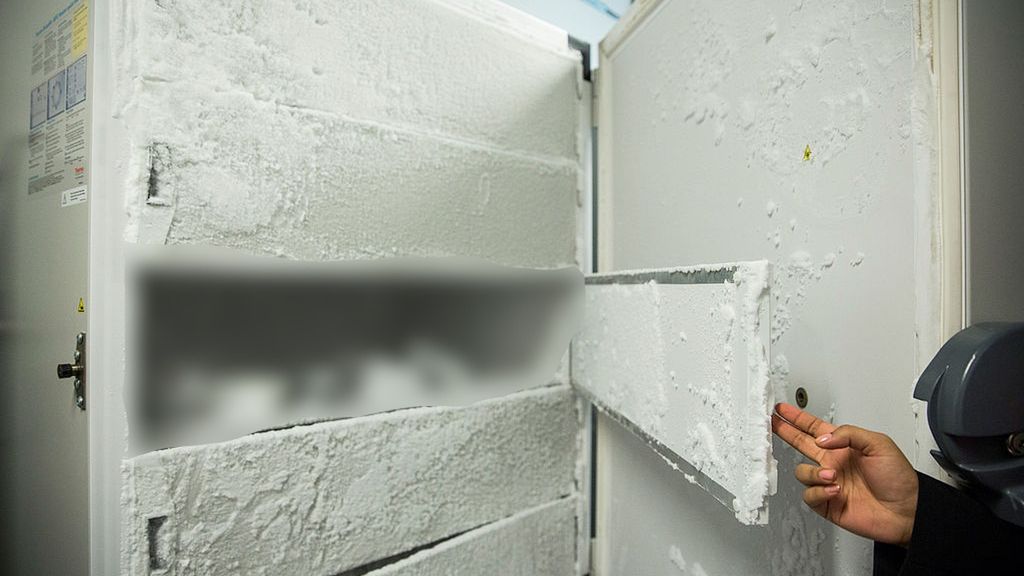 lodowka nie zyje matka